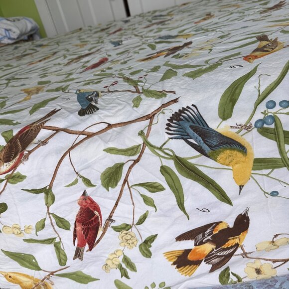 Pottery Barn Bird Duvet Cove Full Queen Spring Sparrow Button Closure :Nature - Picture 5 of 15